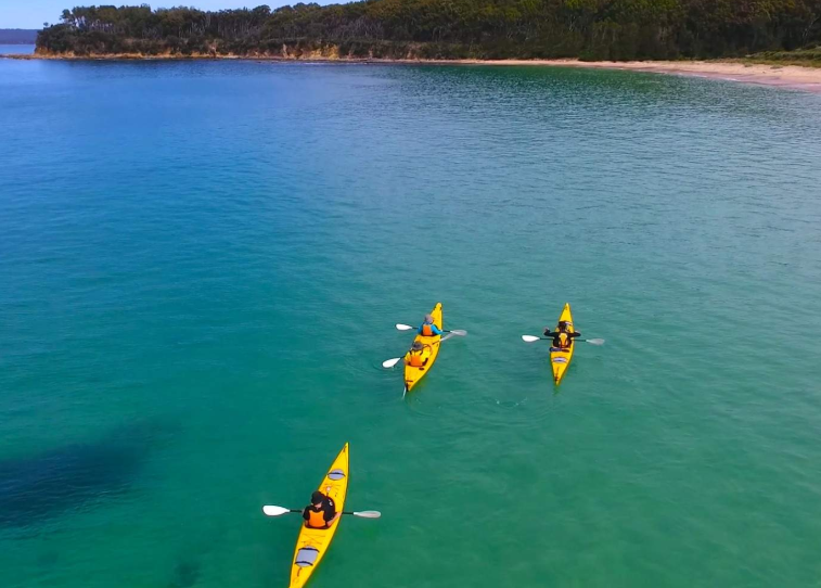 202602031321-6849998147.png image.png