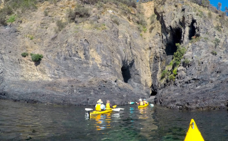 202602031322-4296815757.png image.png