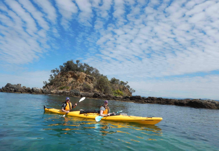 202602031322-5372103015.png image.png