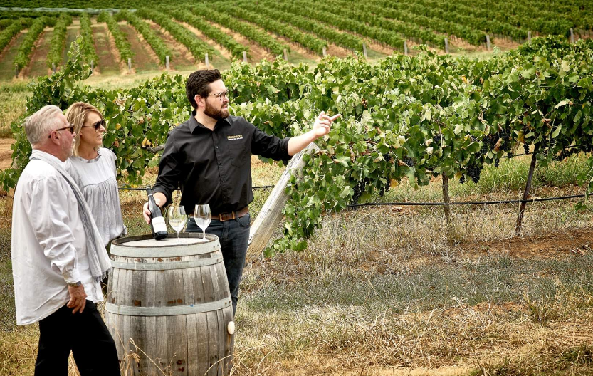 202602031335-6874267485.png image.png