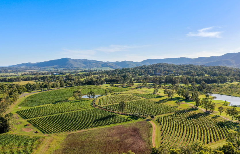 202602031337-3447060168.png image.png