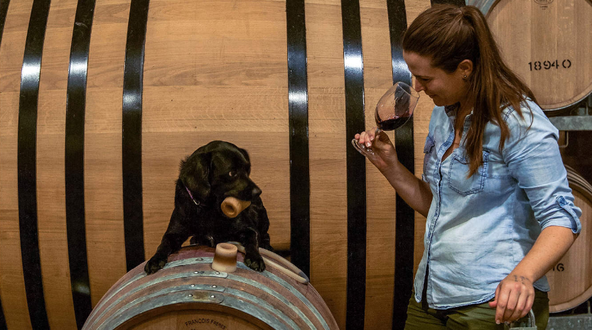 202602031347-2593304805.png image.png