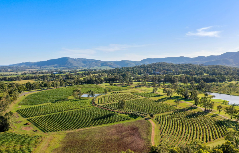 202602031348-8501289821.png image.png