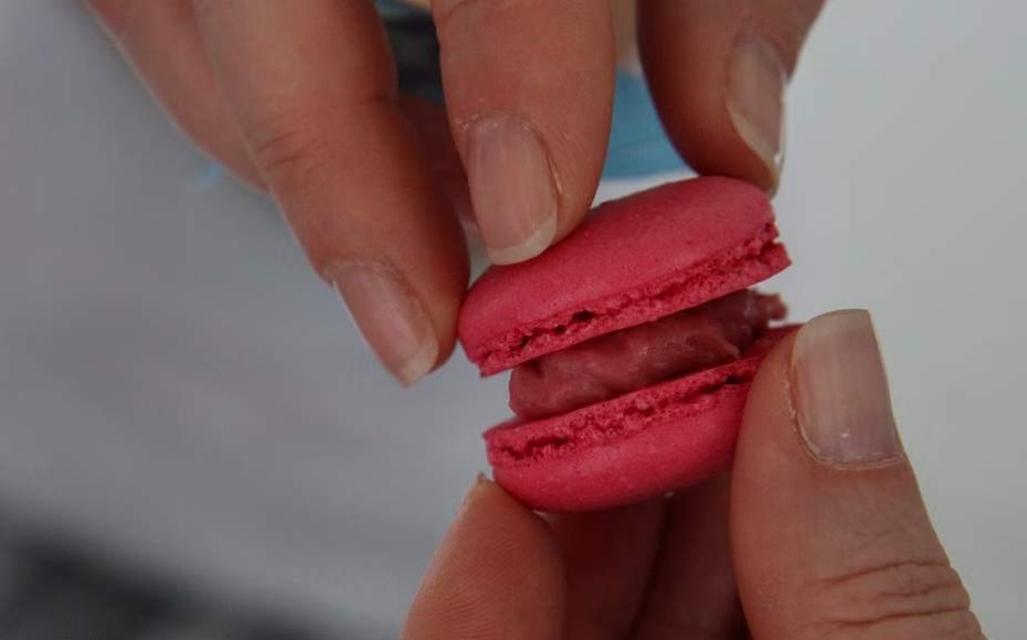 202602031437-8620370654.jpg undefined (2).jpg