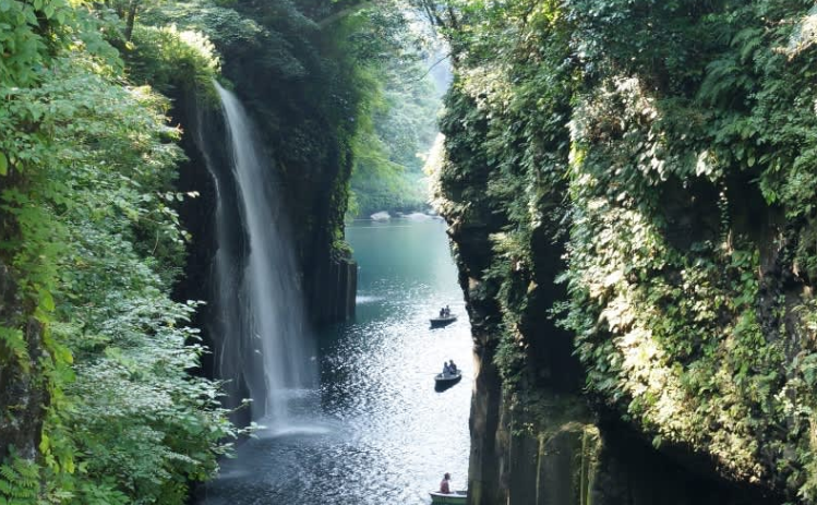 202602031447-6699923889.png image.png