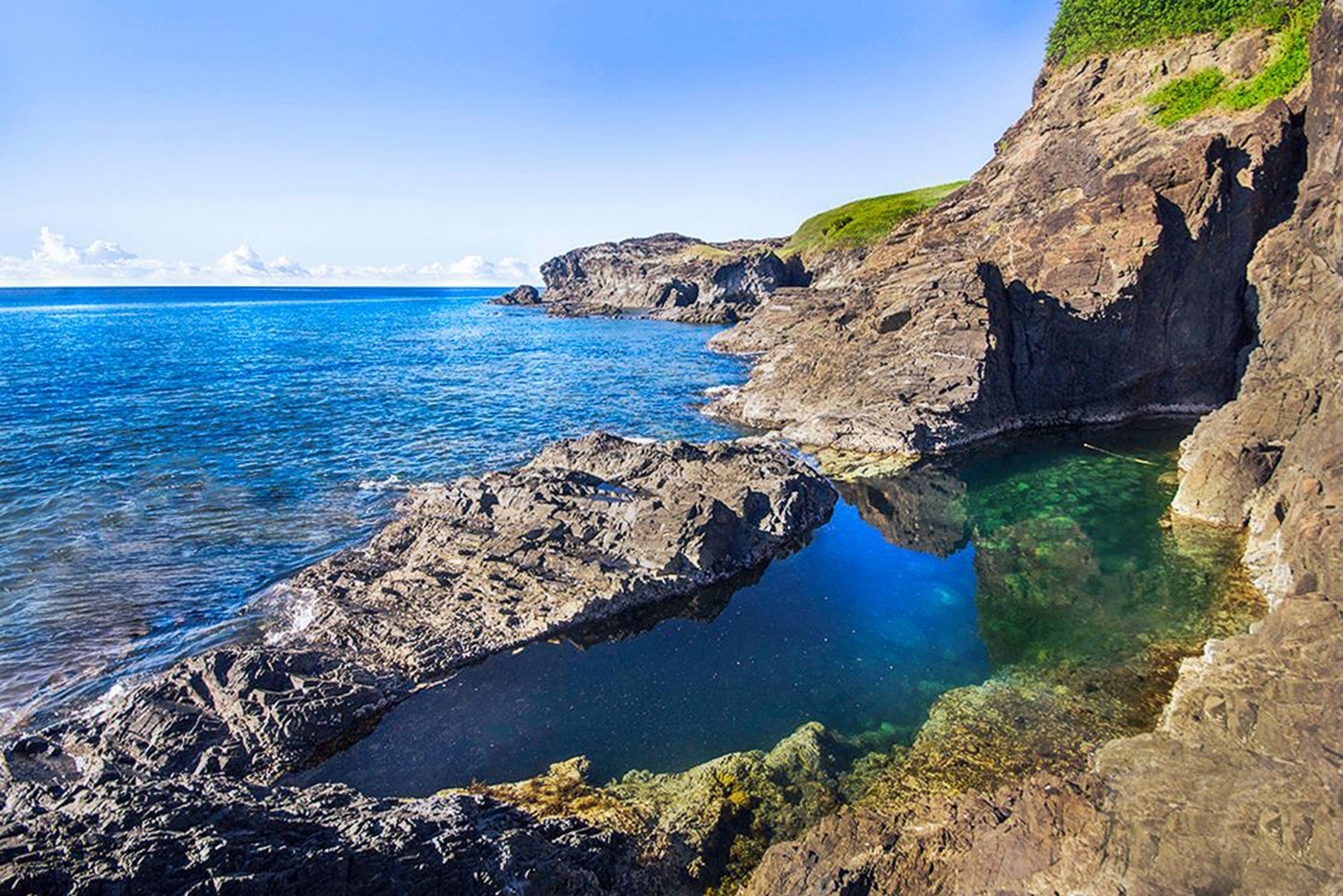 202602031735-8781539079.jpg 202602031735-8781539079.jpg