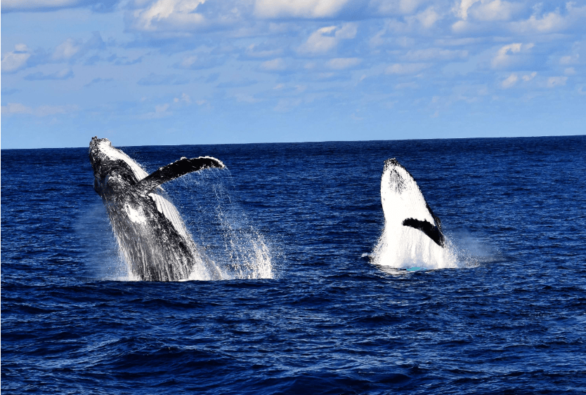 202602041344-8812940563.png image.png