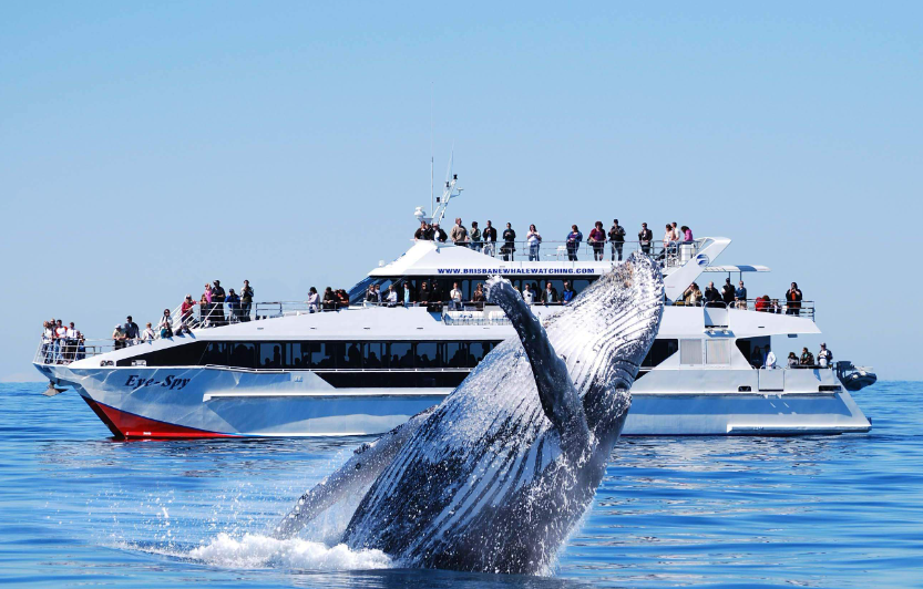 202602041345-1353825437.png image.png