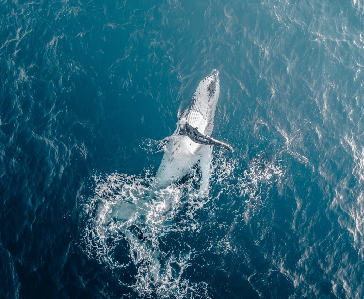 屏幕截图 2026-02-04 160653.png