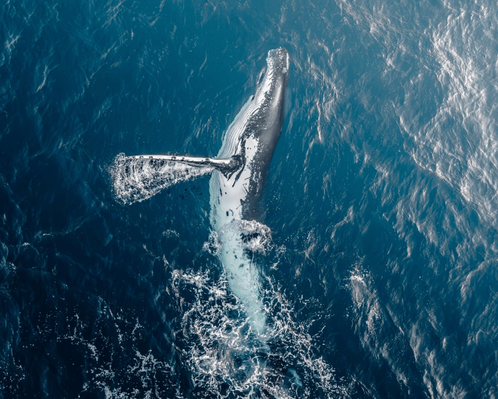 屏幕截图 2026-02-04 160638.png