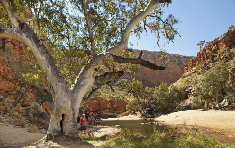 屏幕截图 2026-02-05 153312.png