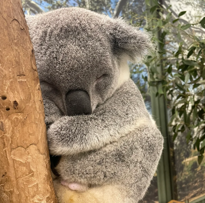 屏幕截图 2026-02-06 144139.png