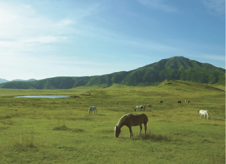 202602111010-7067706154.png image.png