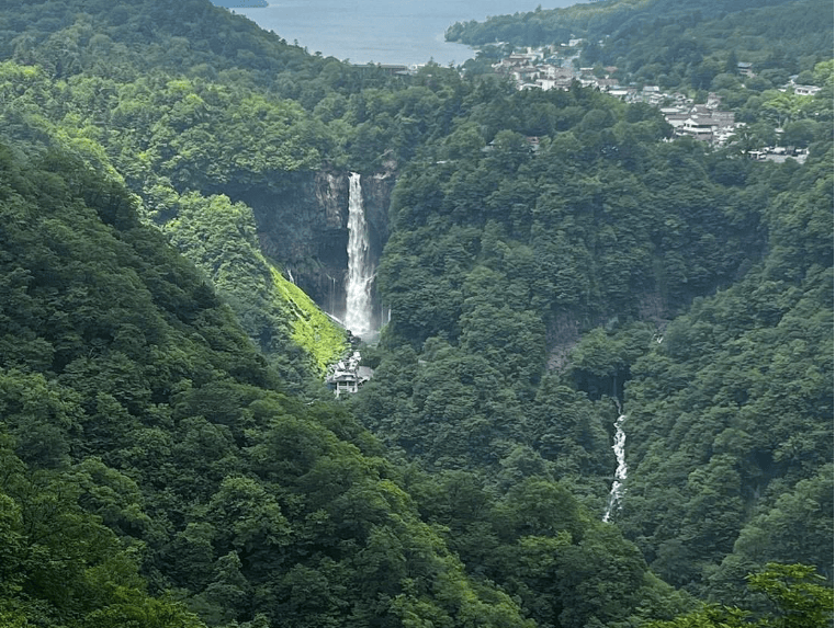 202602111048-7177626520.png image.png