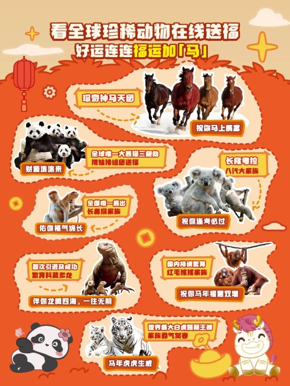 微信图片_2026-02-11_175525_663 (1).jpg