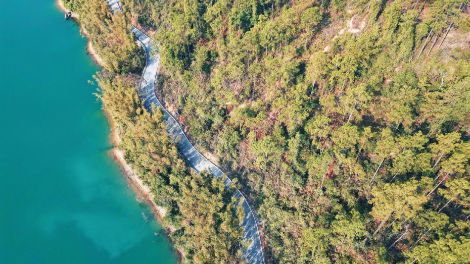 微信图片_2026-02-13_114624_673 (1).jpg