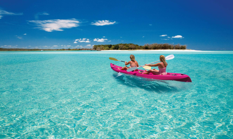 202602131550-1146209689.png image.png