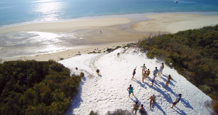 202602131550-7641219877.png image.png