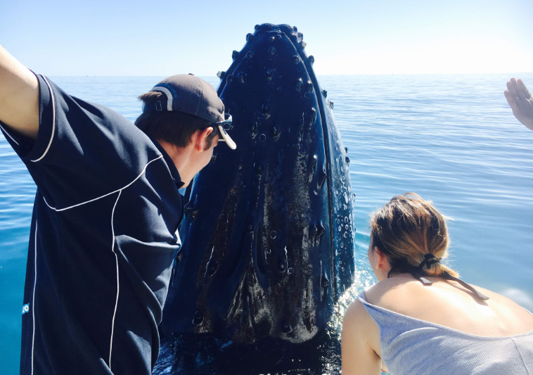 202602131551-6432839767.png image.png