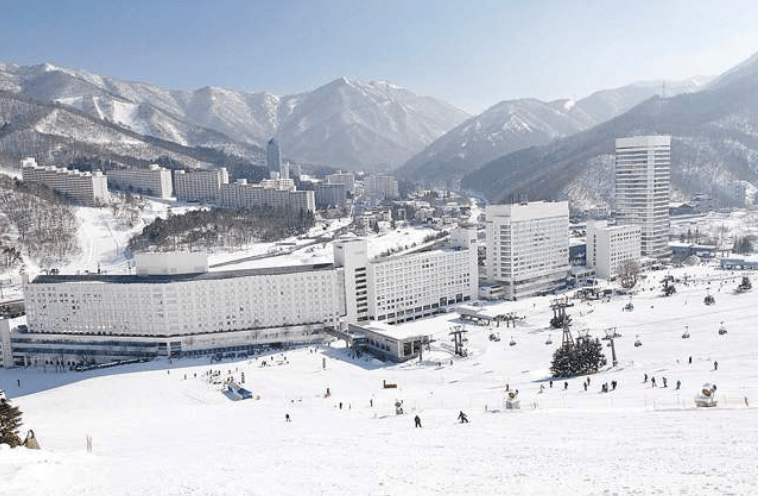 202602140933-7248587149.png image.png