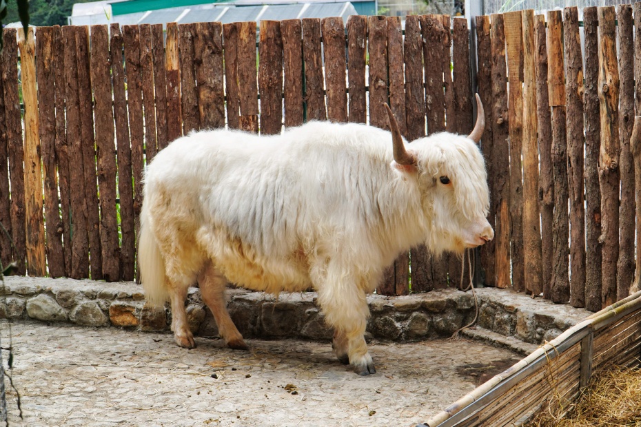 202602141022-9064218629.jpg undefined1.jpg