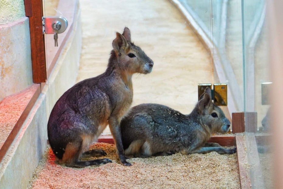 202602141023-1589773397.jpg undefined12.jpg