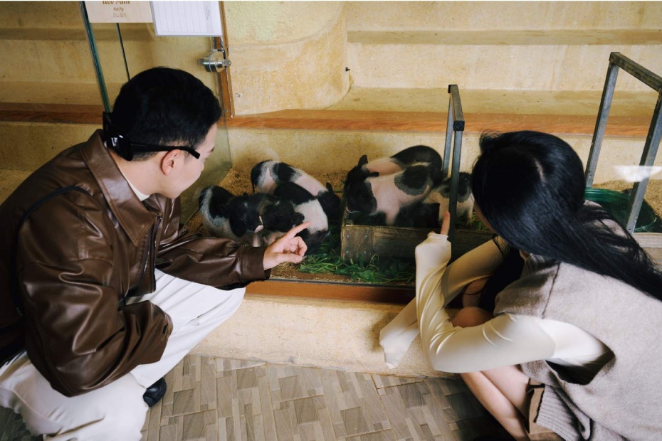 202602141023-4552269247.jpg undefined9.jpg