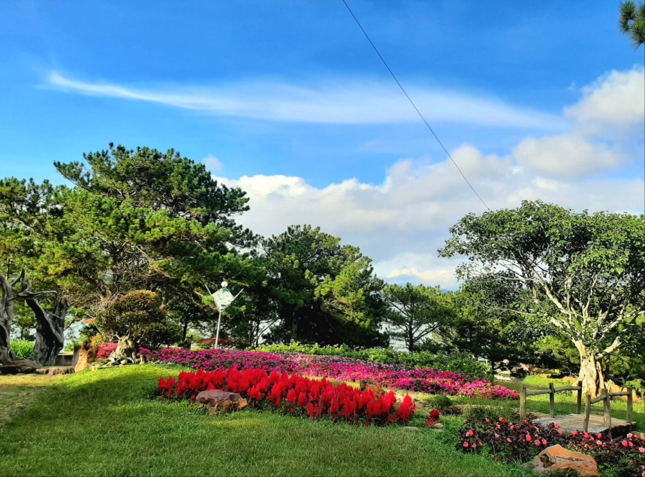 202602141103-1922856501.jpg wechat_2026-02-14_105919_076.jpg