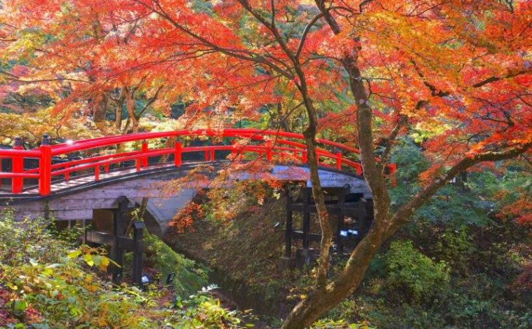 202602141110-8430016004.png image.png