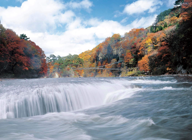 202602141111-5066525799.png image.png