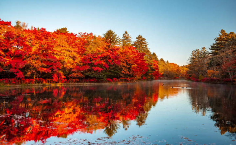 202602141112-6023940028.png image.png