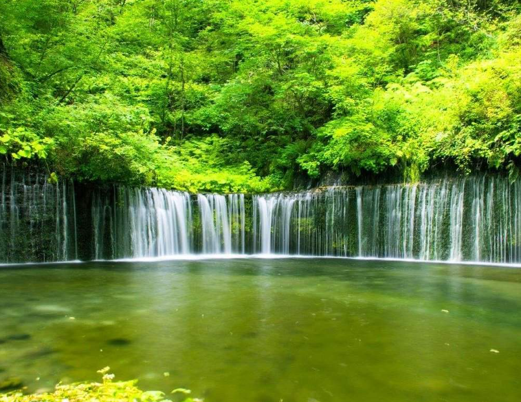 202602141112-9439198677.png image.png