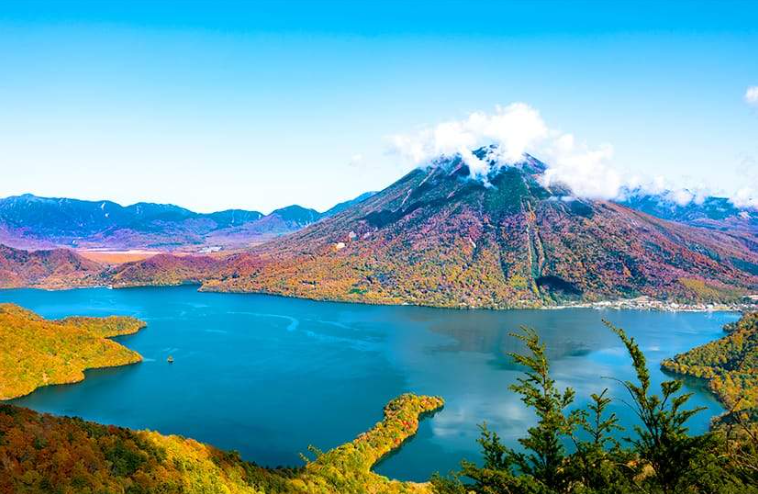 202602141114-4815185988.png image.png