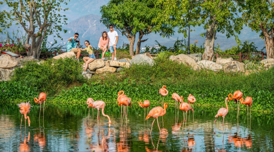 202602141146-9624015535.jpg wechat_2026-02-14_112916_594.jpg