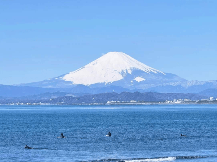 202602141322-5004370846.png image.png