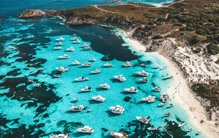 202602141434-4100023402.png image.png