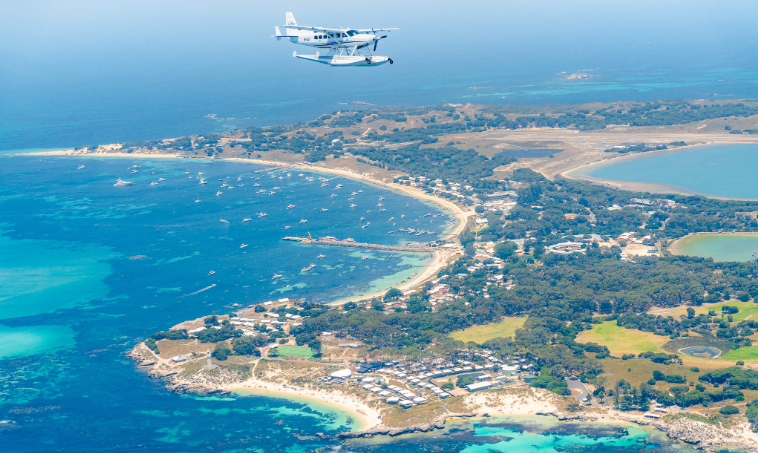 202602141435-7338457534.png image.png