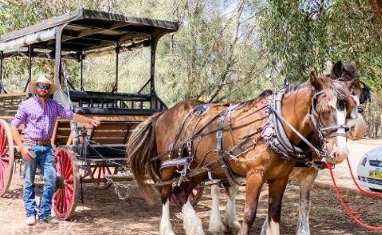 202602141447-6550192201.png image.png