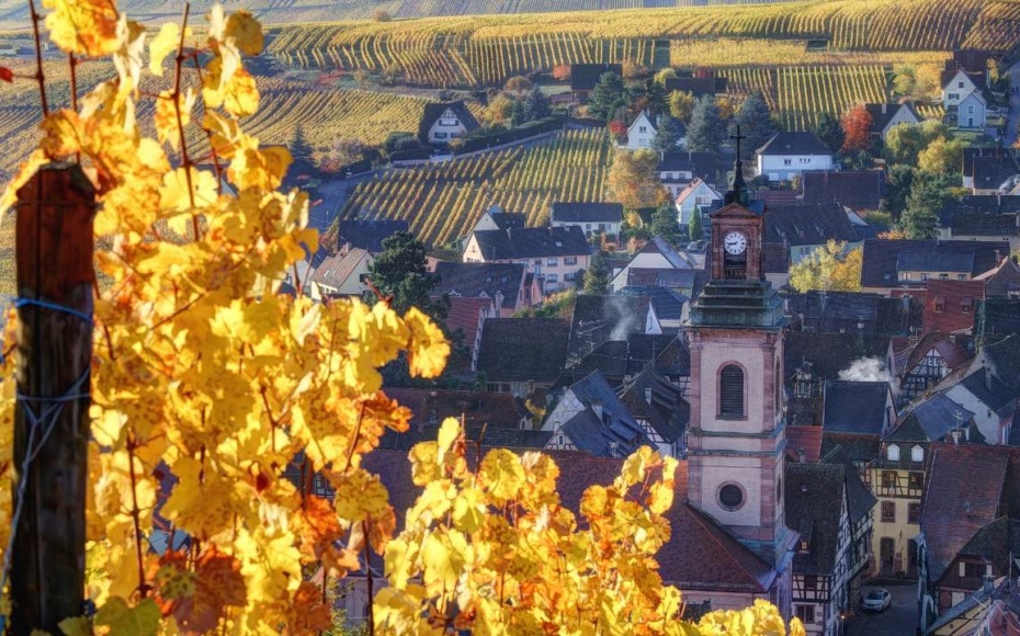 202602141751-3539368851.jpg undefined (3).jpg