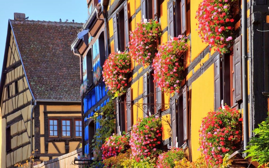 202602141751-4811117033.jpg undefined.jpg