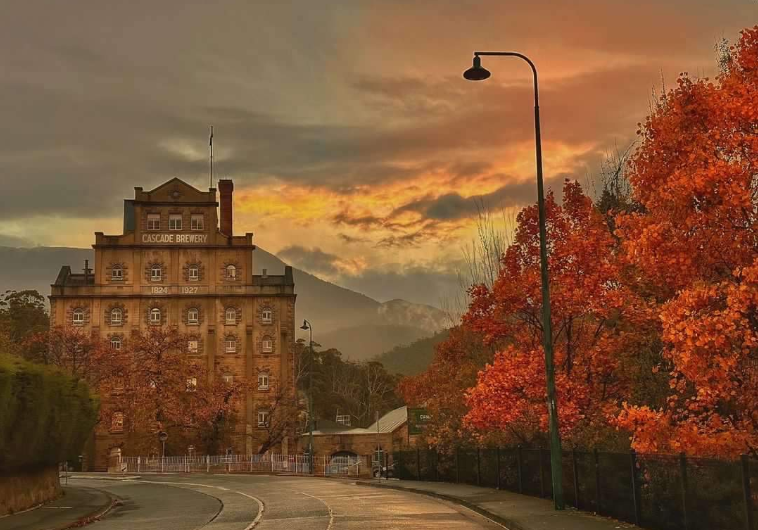 202602241027-3468738974.png image.png