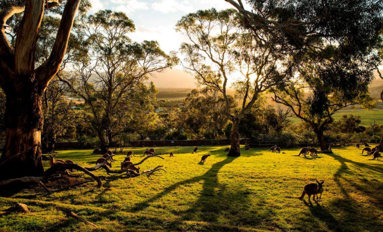 202602241027-5145226798.png image.png