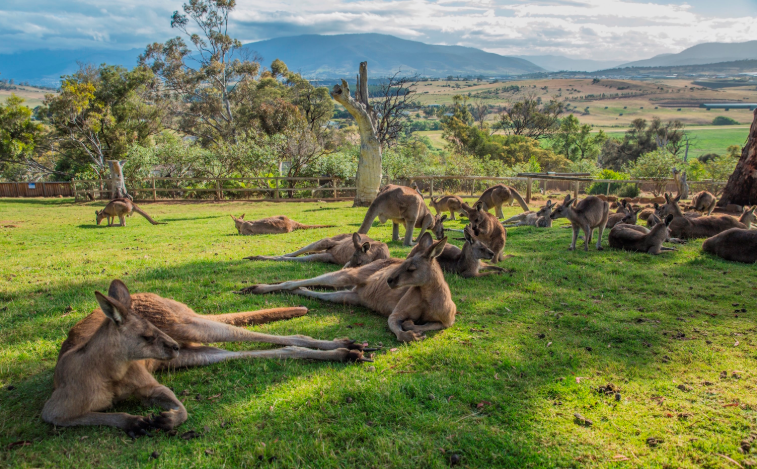 202602241028-2769474240.png image.png