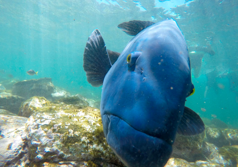 202602241040-6375685781.png image.png