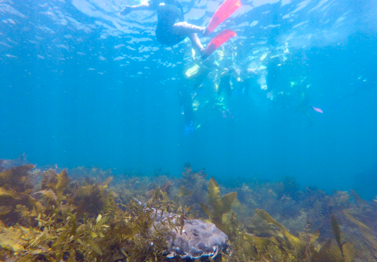 202602241041-2604703701.png image.png