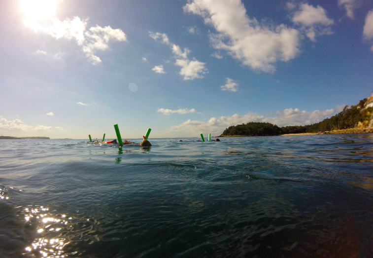 202602241041-5821149966.png image.png