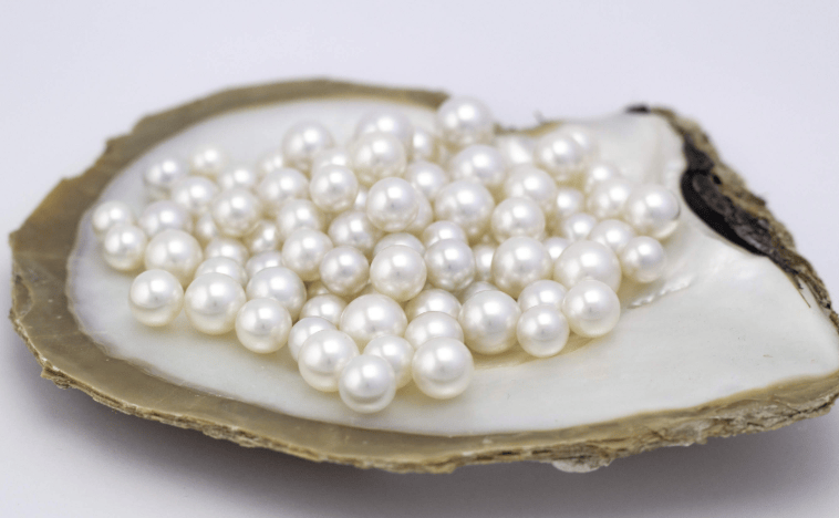 202602241114-7966793577.png 屏幕截图 2026-02-24 111013.png