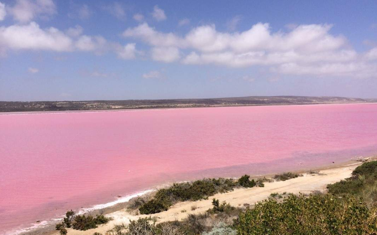 202602241150-8376277137.png image.png