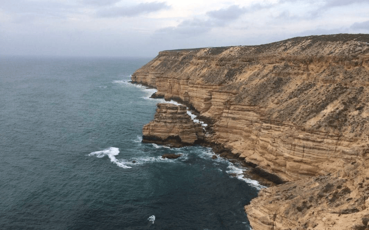 202602241150-8586833977.png image.png