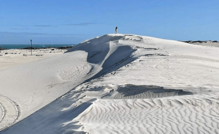 202602241151-7445656094.png image.png